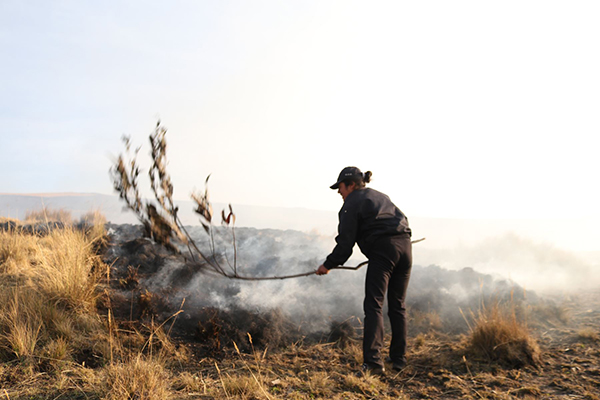 Destruyó 5 hectáreas de cobertura natural, informó Indeci. (Foto: Andina)