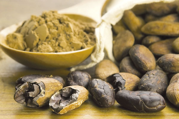 El cacao disminuye la presión sanguínea debido a los polifenoles que previenen la arterosclerosis.