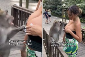 Paula Manzanal es víctima de un mono 'mañoso' [VIDEO]